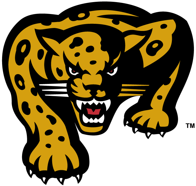 IUPUI Jaguars 2002-2007 Alternate Logo iron on transfers for fabric